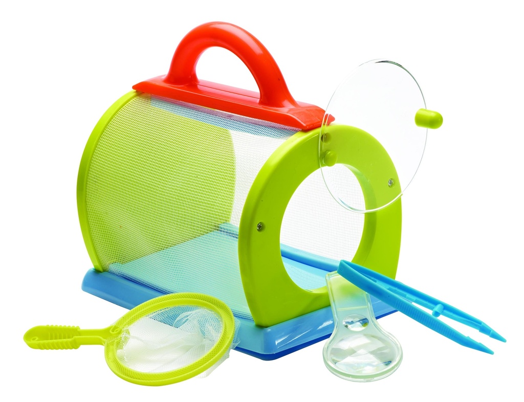 Kit de boîte à insectes