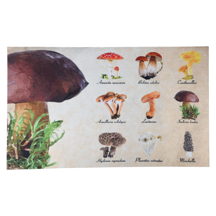 Paillasson collection champignons