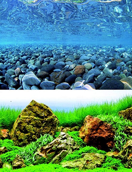 Fond pour aquarium  Vision Blister