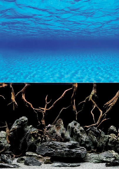 Fond pour aquarium  Mystic Blister