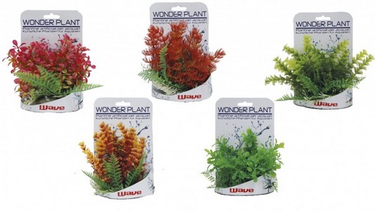 Décoration pour Aquarium  Wonder plant serie C