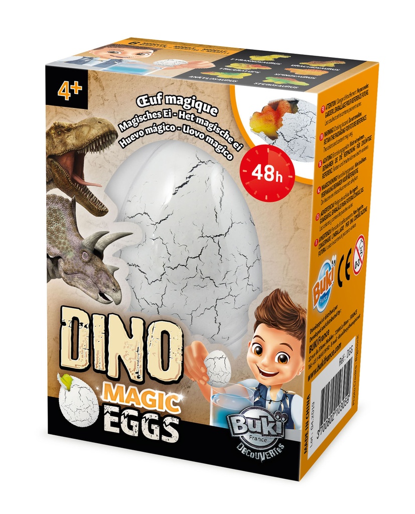 Œufs Magiques Dinos Display 12Pcs 