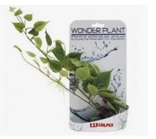 Décoration pour Aquarium  Wonder plant serie D