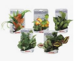 Décoration pour Aquarium  Wonder plant serie E