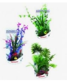 Décoration pour Aquarium  Wonder plant serie H