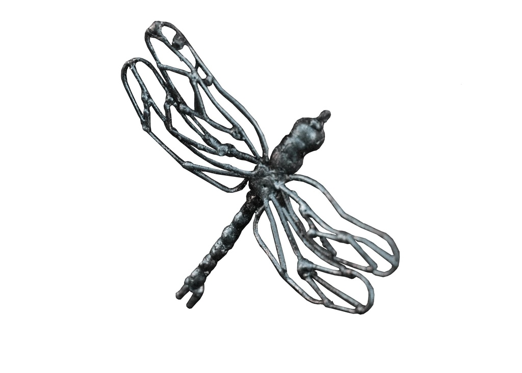 Libellule À Fixer