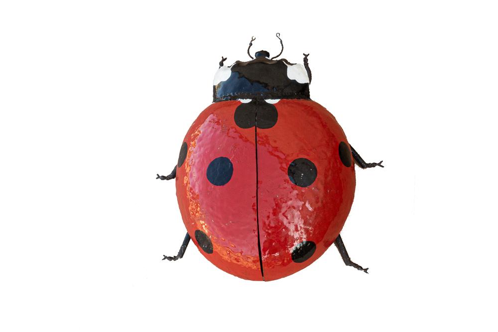 Coccinelle Geante