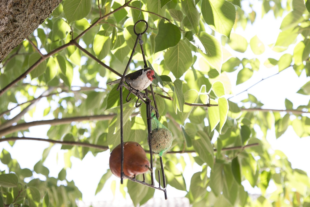 Porte Graisse Chardonneret