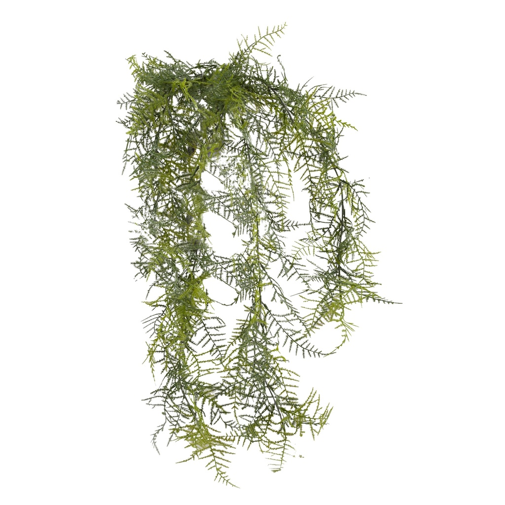 Asparagus plumosus à suspendre artificiel