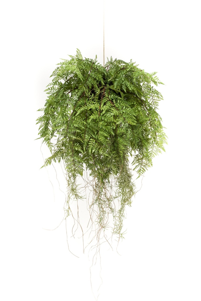Fougère à suspendre avec racines artificielle