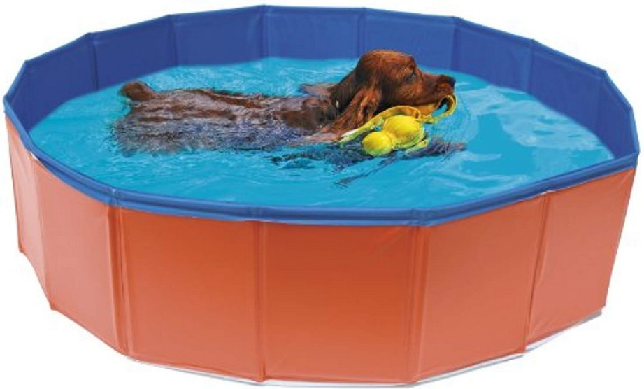 Piscine pour chien 120