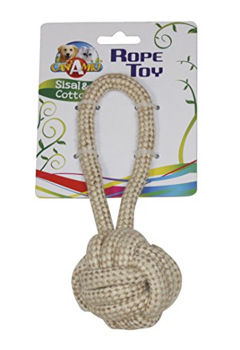 Jouet pour chien naturel balle à lancer L