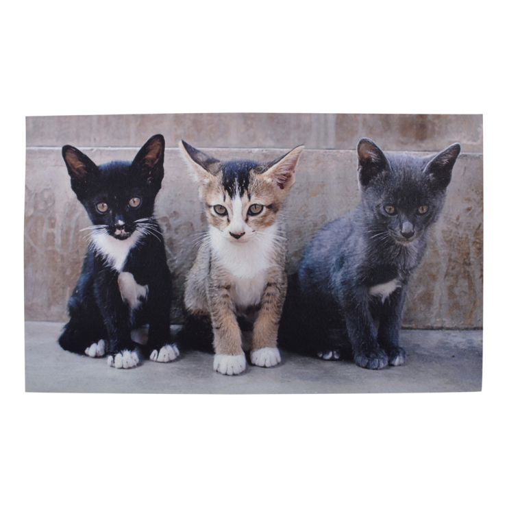 TAPIS Paillasson Chat