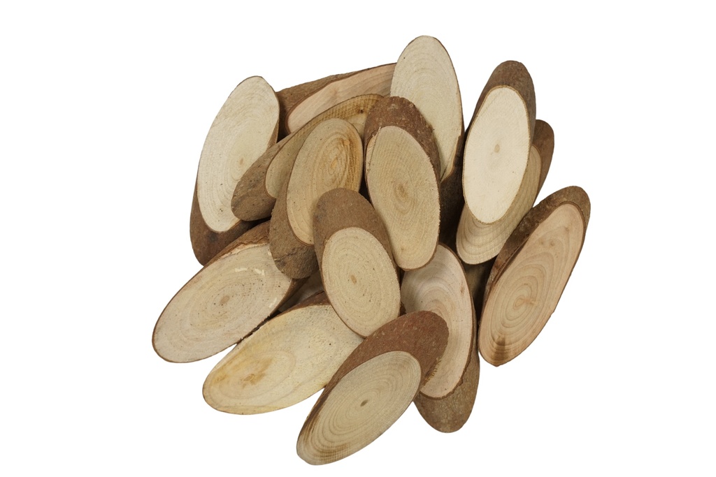 Rondelles de bois 24pcs