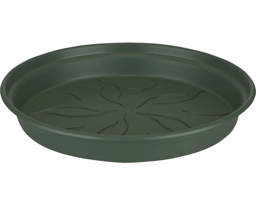 green basics soucoupe 53cm