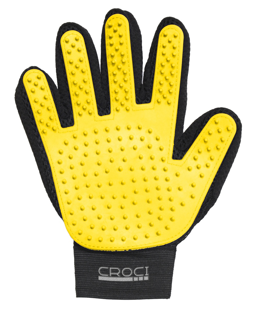 Gant de massage et brossage Croci