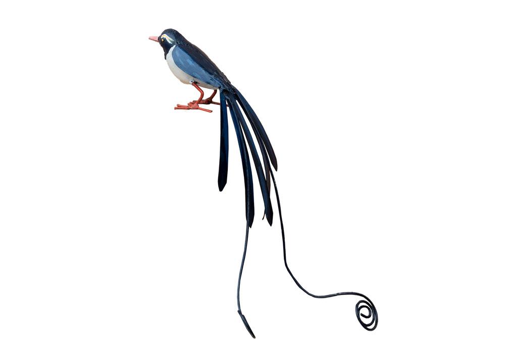 Oiseau De Paradis