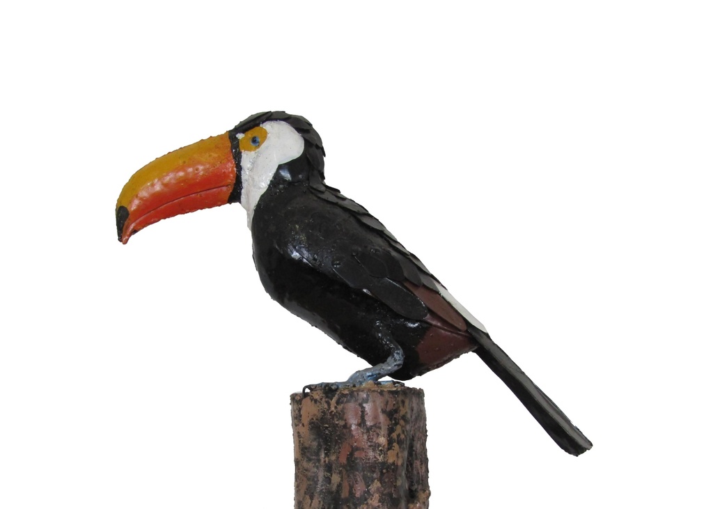 Toucan