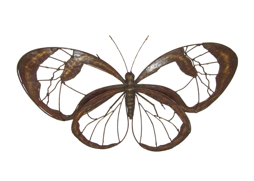 Papillon Géant
