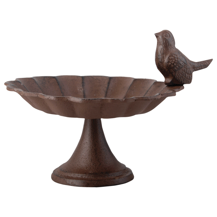 Plateau de Graines l'Oiseau