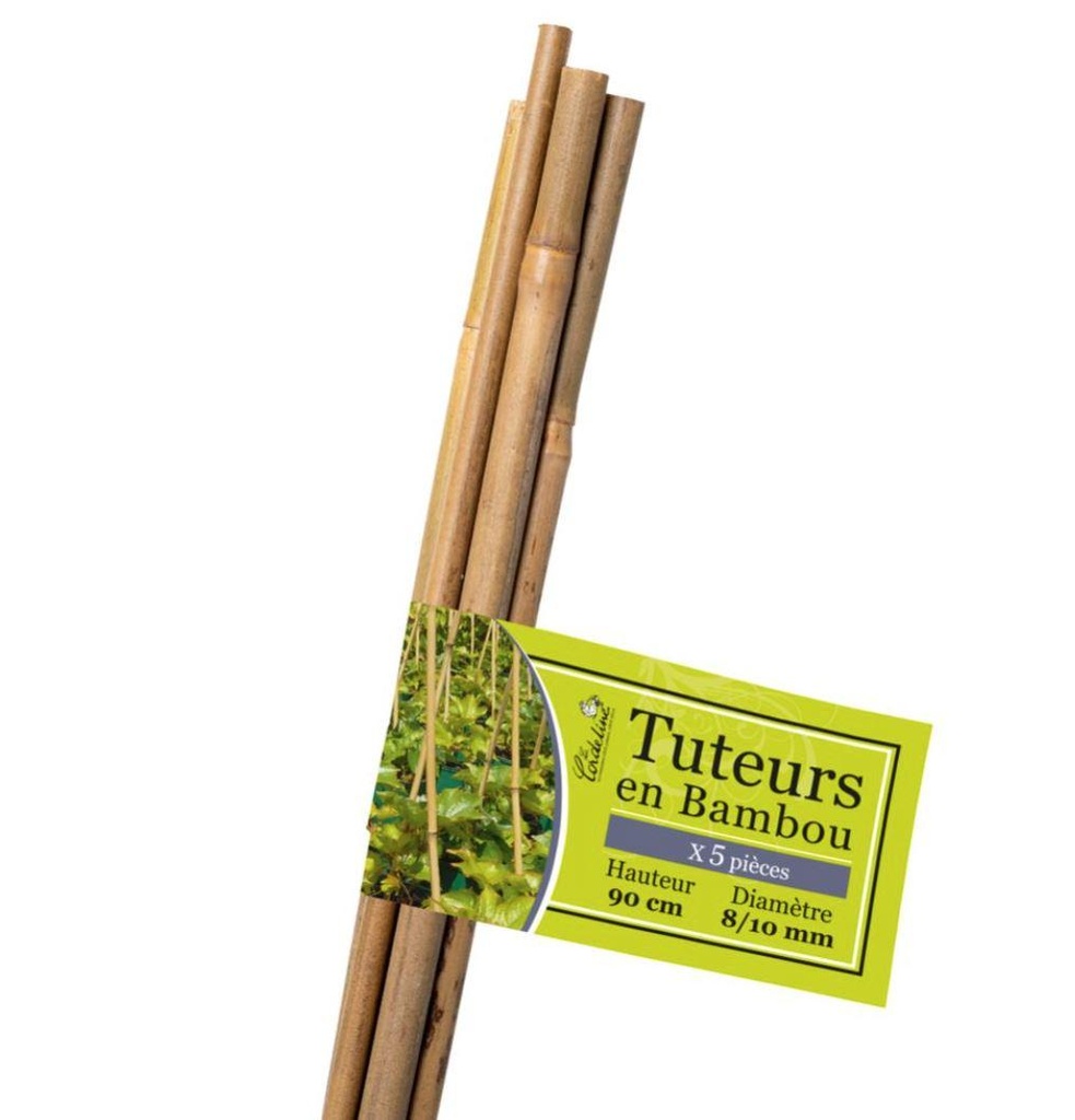 Lot de 5 Tuteurs Bambou 90
