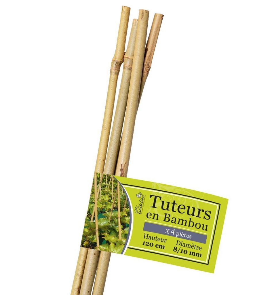 Lot de 4 Tuteurs Bambou 120