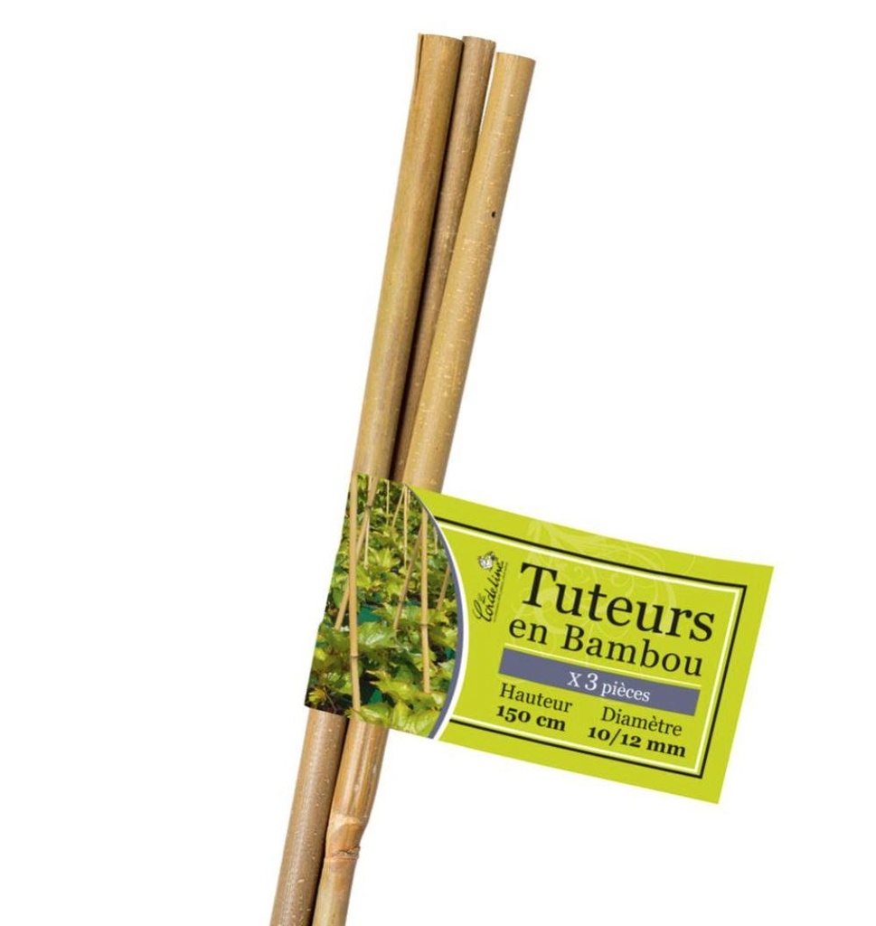 Lot de 3 Tuteurs Bambou 150