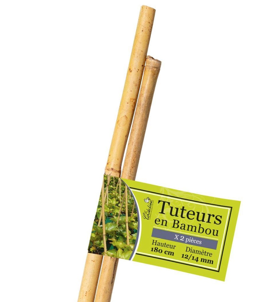Lot de 2 Tuteurs Bambou 180