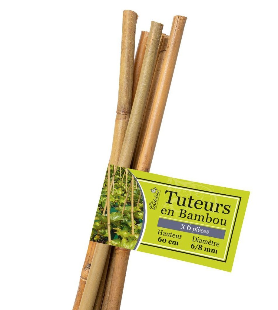 Lot de 6 Tuteurs Bambou 60