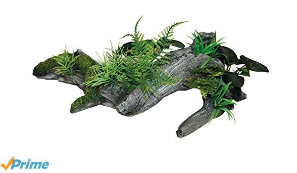 Décoration pour Aquarium  Rain Forest wood plants 3