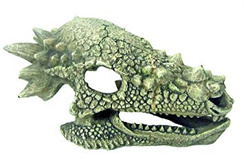 Décoration pour Aquarium  crâne Dragon