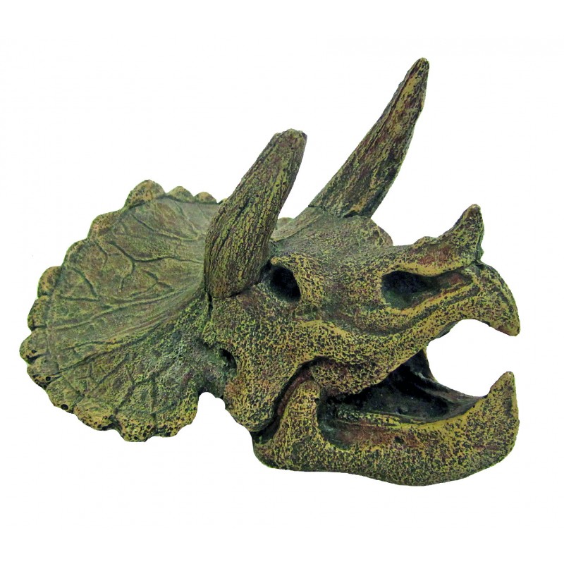 Décoration pour Aquarium  crâne Triceratops