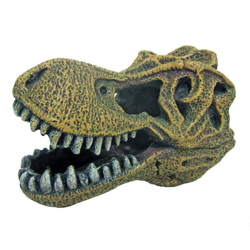 Décoration pour Aquarium  crâne tyrannosaurus