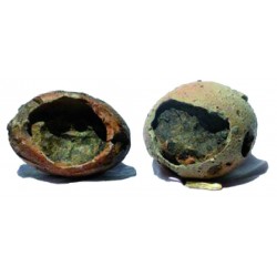 Pierre  œuf de dinosaure