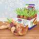 Kong Nibble carottes avec Catnip. couleurs assorties