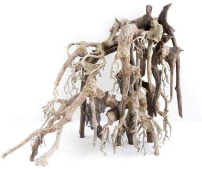 Racine  Oriental Wind 1  SM