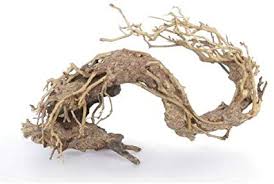 Racine  Oriental Wind 2  SM