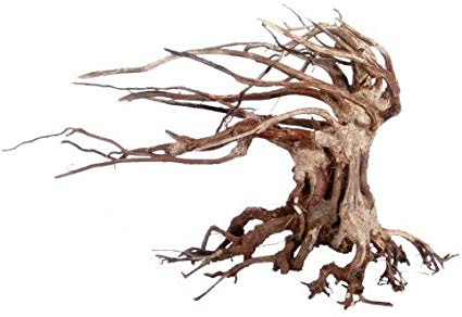 Racine  Oriental Wind 6  MD