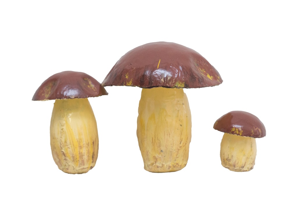 Gros Cep A&P
