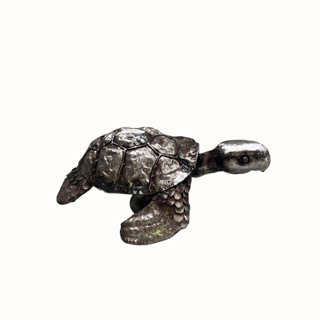 Tortue de Mer XL