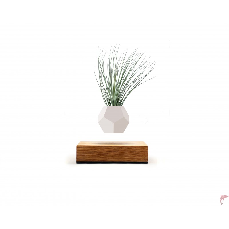 Lyfe Planter BLanc