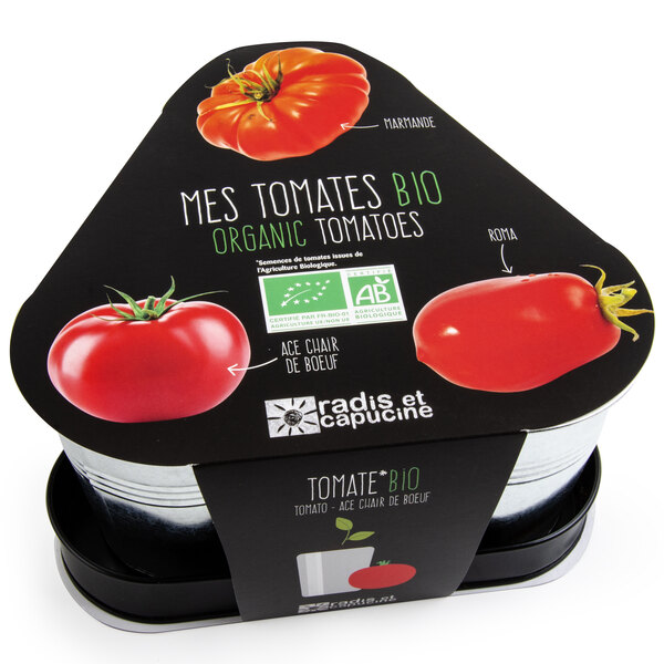 Plateau trio pots zinc tomates