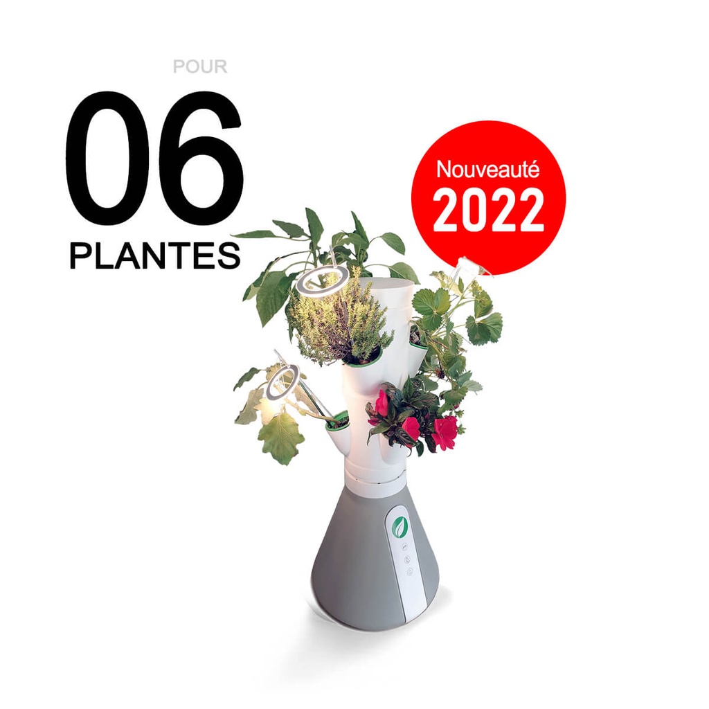 Home Potager Kit Mini