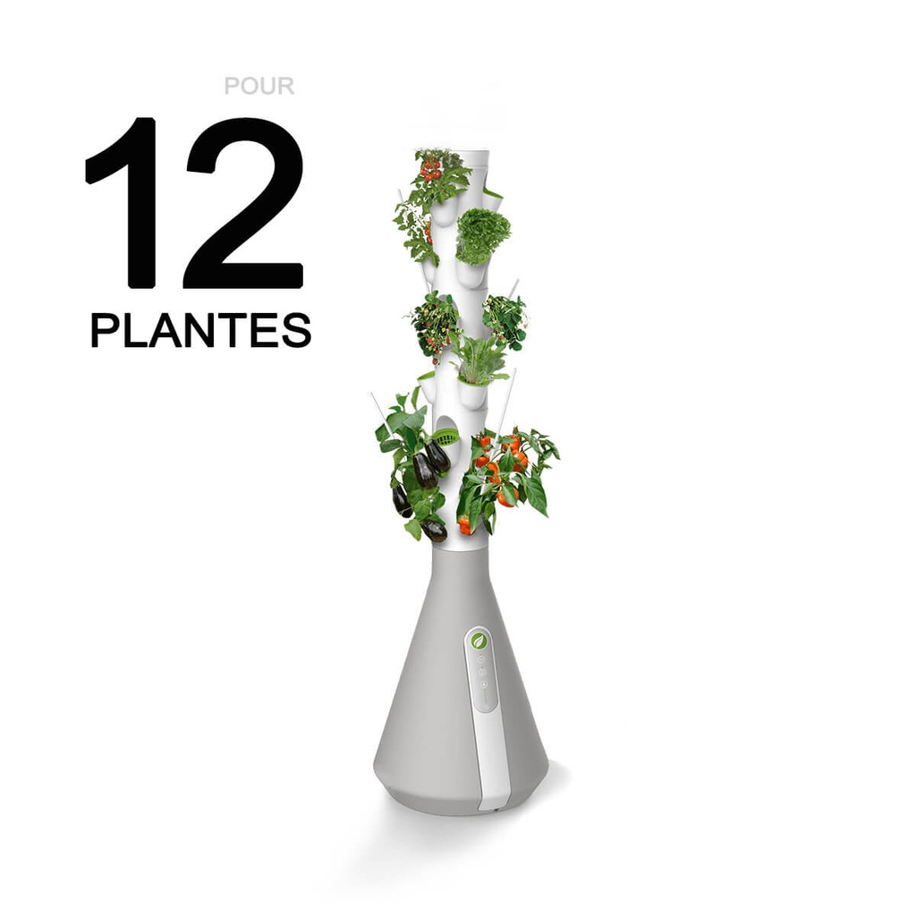 Home Potager Kit 50
