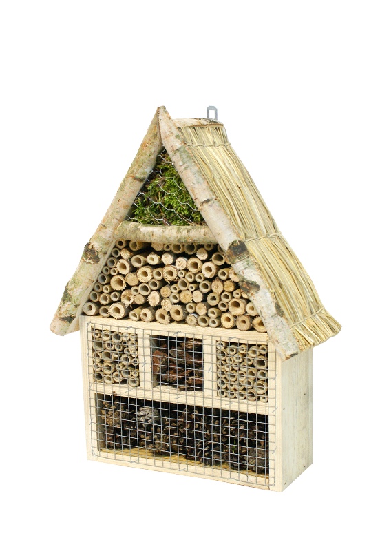 Hôtel à insectes Bouleau toit de Paille