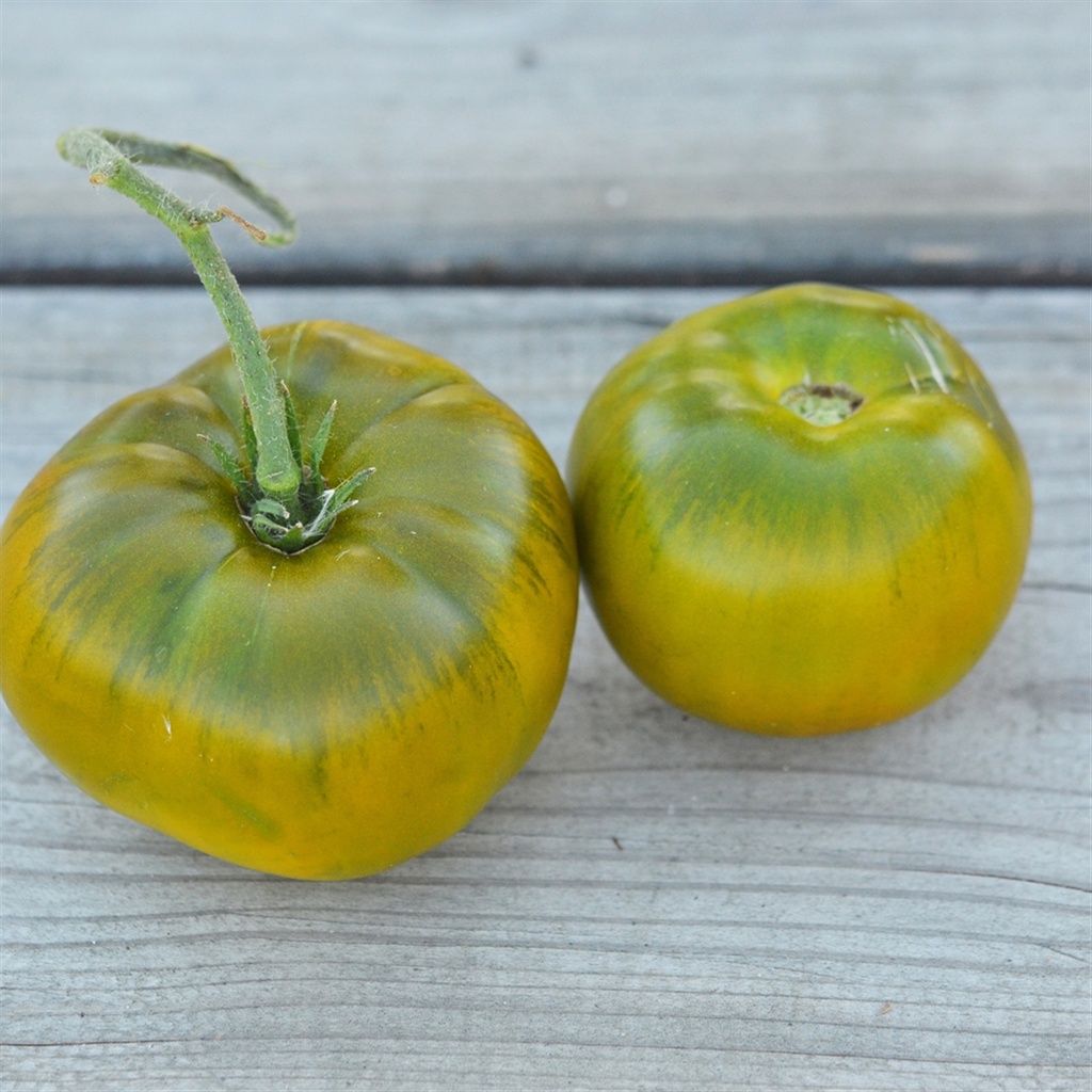 Tomate 'Evergreen'
