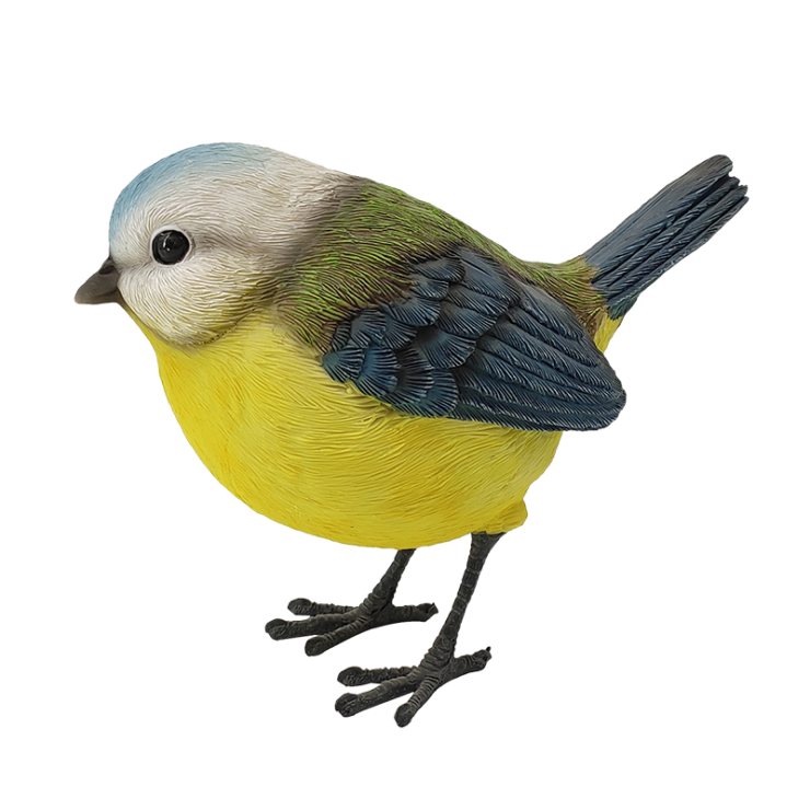 Mésange bleue
