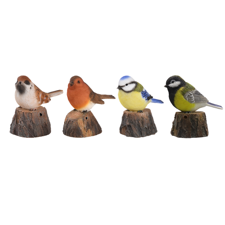 Oiseaux d'accueil ass.
