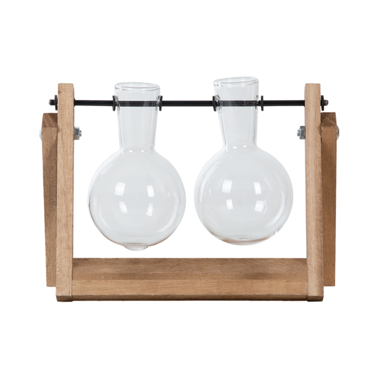 Set de 2 vases à bouture