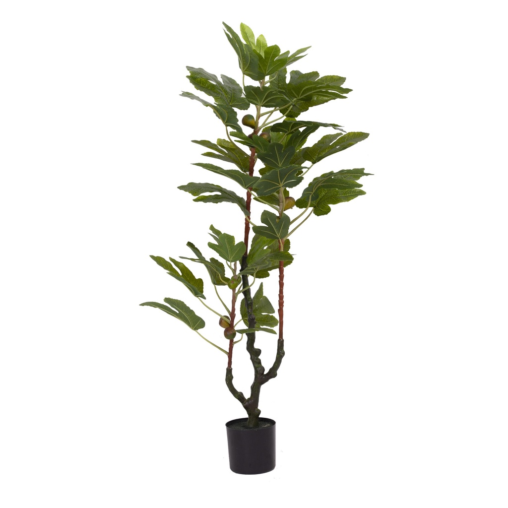 Figuier avec fruits artificiel